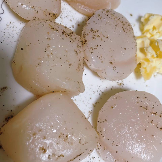 Large Dry Dayboat Scallops Pack of 10