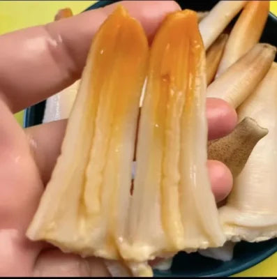 Sashimi-grade geoduck