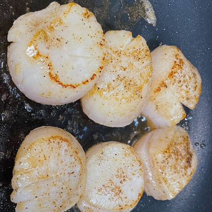 Large Dry Dayboat Scallops Pack of 10