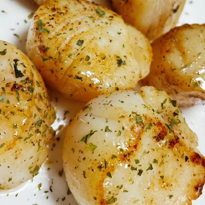 Large Dry Dayboat Scallops Pack of 10