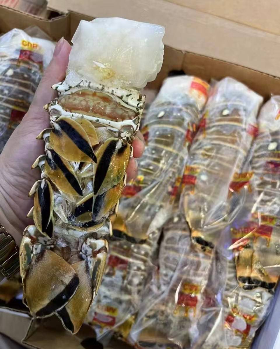 Wild-Caught Brazilian Lobster Tail (250g) | Only 100 Servings Daily | Best Value in SG