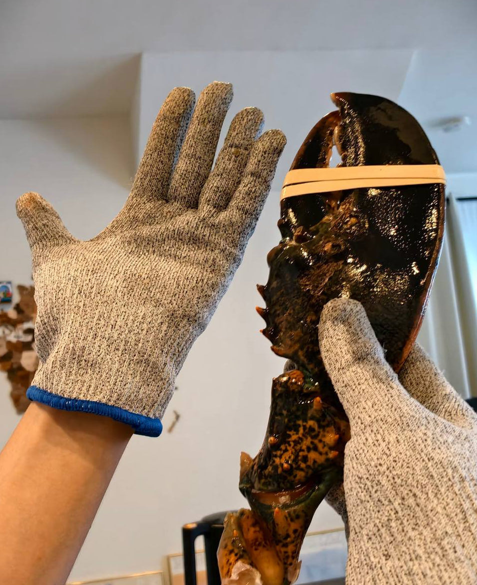 Giant kg-Grade Lobster Claw